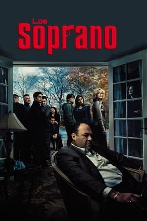 Ver Los Soprano