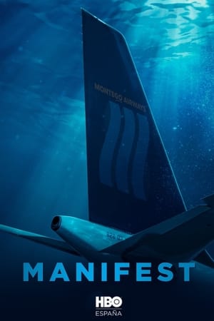 Ver Manifest