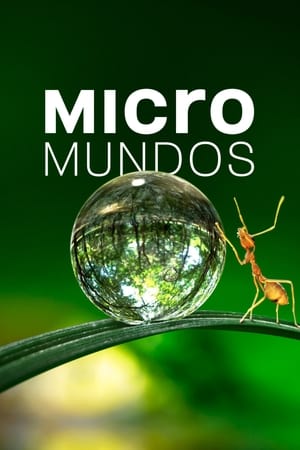 Ver Micromundos