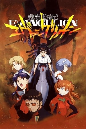 Ver Neon Genesis Evangelion