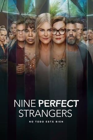 Ver Nine Perfect Strangers