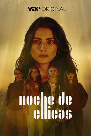 Ver Noche de chicas