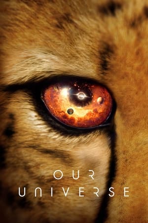 Ver Nuestro universo