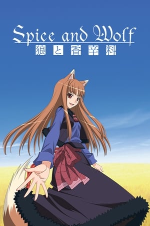 Ver Ookami to Koushinryou