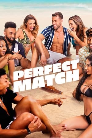 Ver Perfect Match
