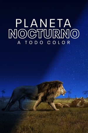 Ver Planeta nocturno: a todo color