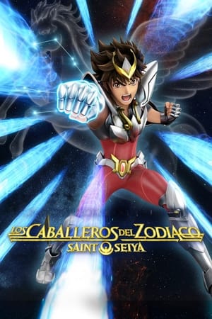 Ver Saint Seiya: Los Caballeros del Zodiaco
