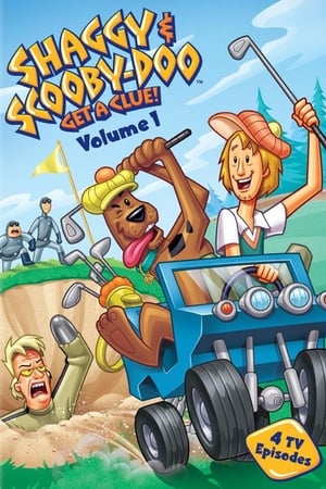 Shaggy y Scooby-Doo detectives