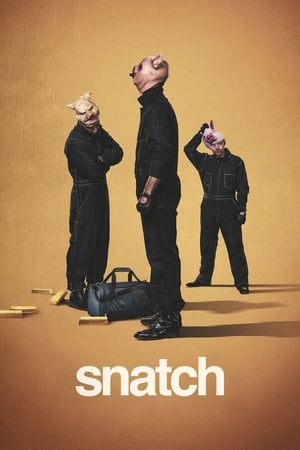 Ver Snatch