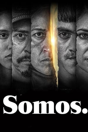 Ver Somos.