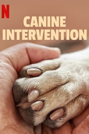 Ver Terapia Canina