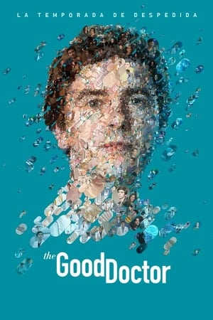 Ver The Good Doctor