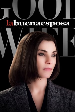 Ver The Good Wife