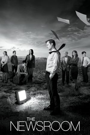 Ver The Newsroom