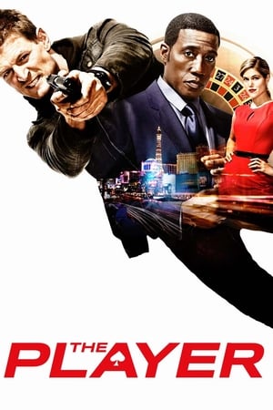 Ver The Player