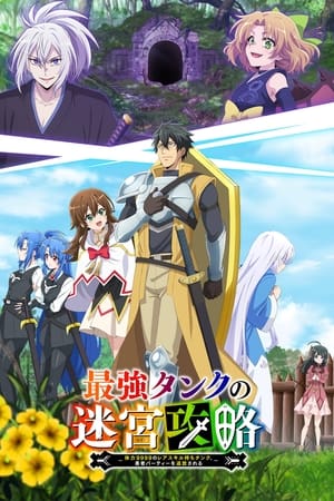 Ver The Strongest Tank's Labyrinth Raids
