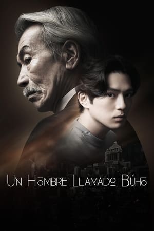 Ver Un hombre llamado Búho