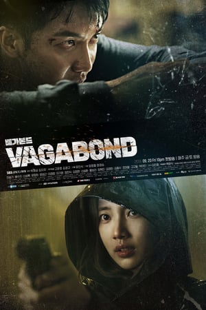 Ver Vagabundo