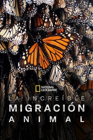 Ver Viajes increíbles de animales