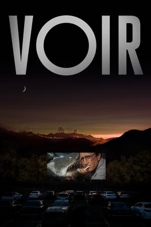 Ver VOIR