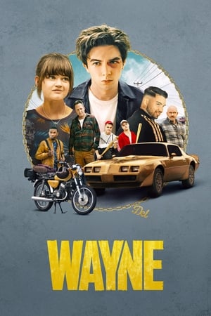 Ver Wayne