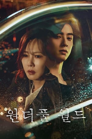 Ver Wonderful World Corea
